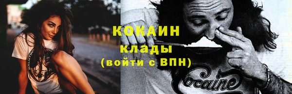 эйфоретик Бородино