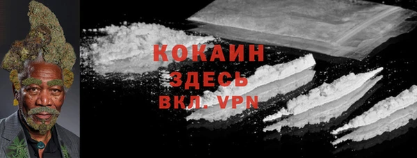 эйфоретик Бородино