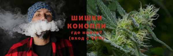 мдпв Бронницы