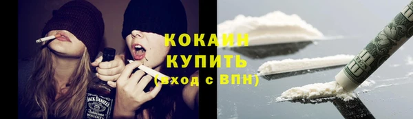 эйфоретик Бородино