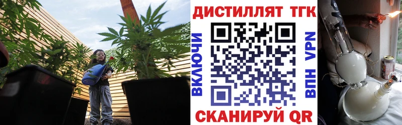 Дистиллят ТГК концентрат  KRAKEN как зайти  Ковдор 